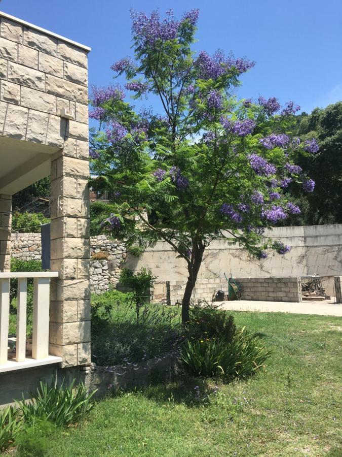 Apartmani Domenika Žuljana Exterior foto